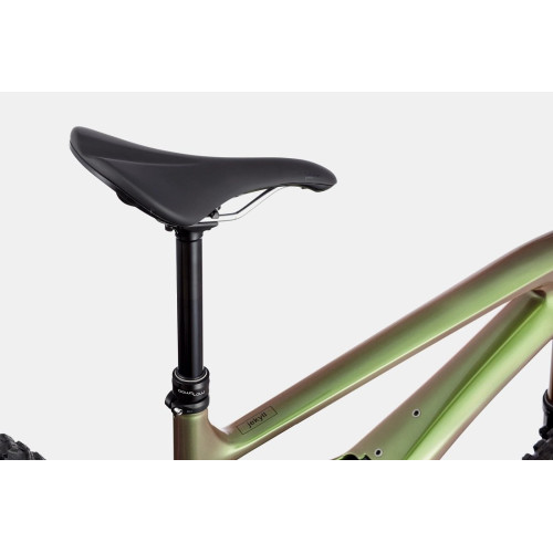 Bicycle Cannondale Jekyll 29 Carbon 1 beetle green-41 cm / M