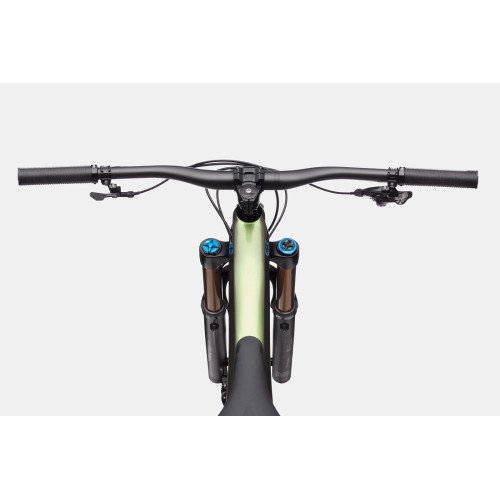 Bicycle Cannondale Jekyll 29 Carbon 1 beetle green-50 cm / XL