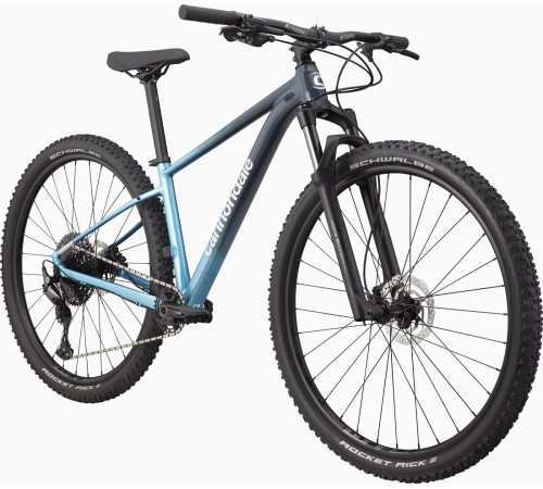 Bicycle Cannondale Trail 29" SL 3 Womens slate gray-alpine blue-44 cm / L