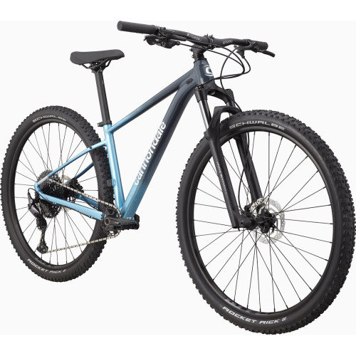 Bicycle Cannondale Trail 29" SL 3 Womens slate gray-alpine blue-44 cm / L