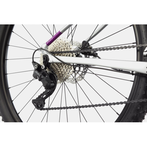 Velosipēds Cannondale Trail 29" SL 4 Womens purple-44 cm / M