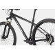 Velosipēds Cannondale Trail 29" 5 graphite-53 cm / XL
