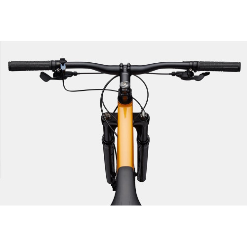 Velosipēds Cannondale Trail 29" 5 mango-53 cm / XL