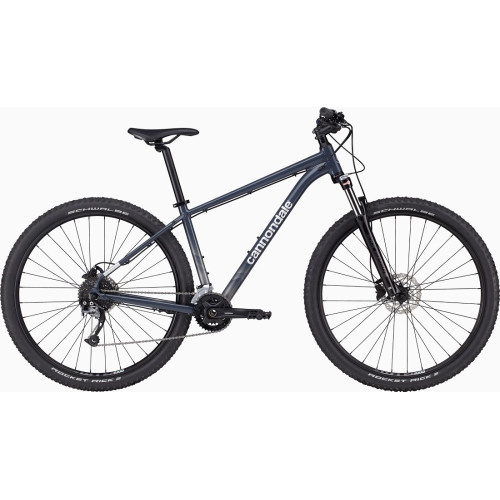 Bicycle Cannondale Trail 29" 6 slate gray-alpine blue-47 cm / L