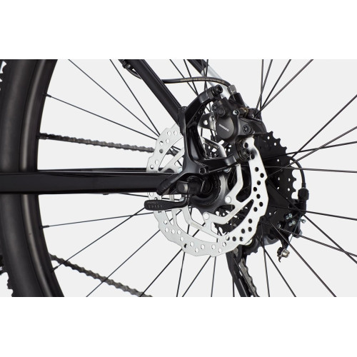 Bicycle Cannondale Trail 29" 7 black pearl-47 cm / L