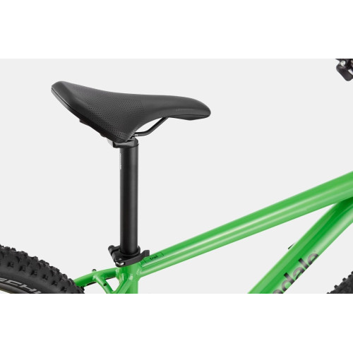 Bicycle Cannondale Trail 29" 7 green-47 cm / L