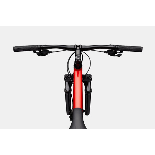Bicycle Cannondale Trail 29" 7 rally red-43 cm / M