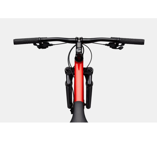 Bicycle Cannondale Trail 29" 7 rally red-53 cm / XL