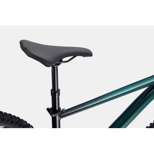 Velosipēds Cannondale Trail 29" SE 2 emerald-39 cm / S