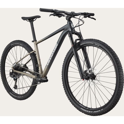 Bicycle Cannondale Trail 29" SL 1 stealth grey-44 cm / M