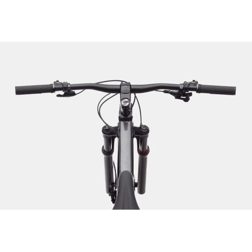 Bicycle Cannondale Trail 29" SL 1 stealth grey-44 cm / M