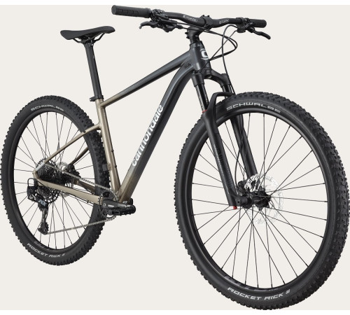 Bicycle Cannondale Trail 29" SL 1 stealth grey-47 cm / L
