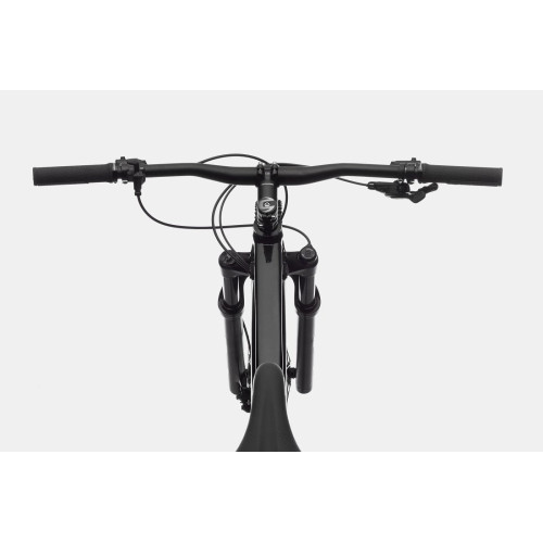 Bicycle Cannondale Trail 29" SL 3 black pearl-39 cm / S