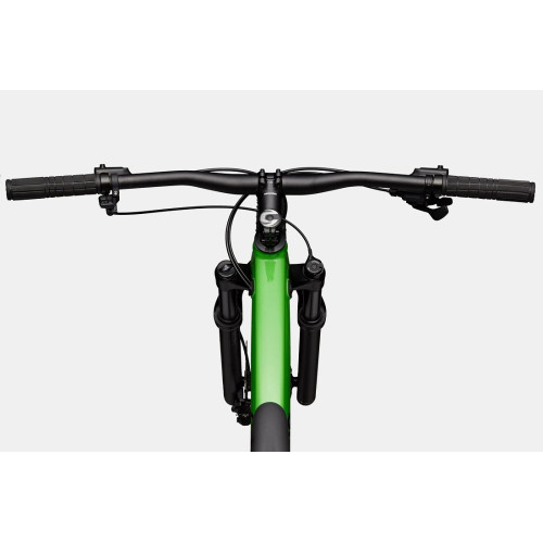 Bicycle Cannondale Trail 29" SL 3 green-52 cm / XL