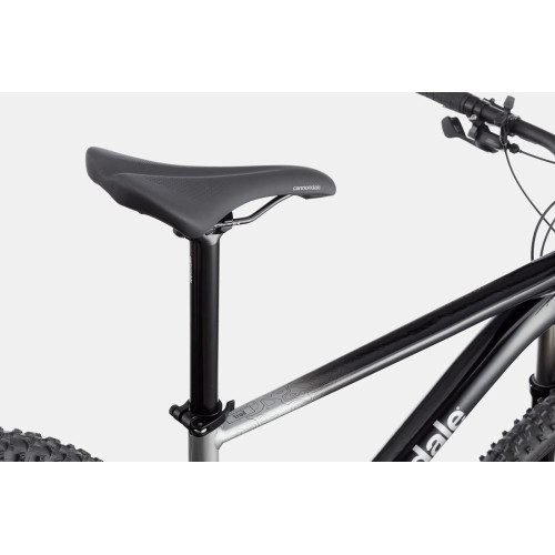 Bicycle Cannondale Trail 29" SL 4 charcoal gray-39 cm / S