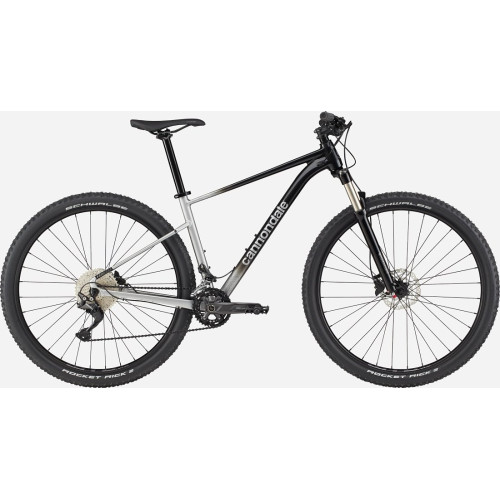 Bicycle Cannondale Trail 29" SL 4 charcoal gray-47 cm / L