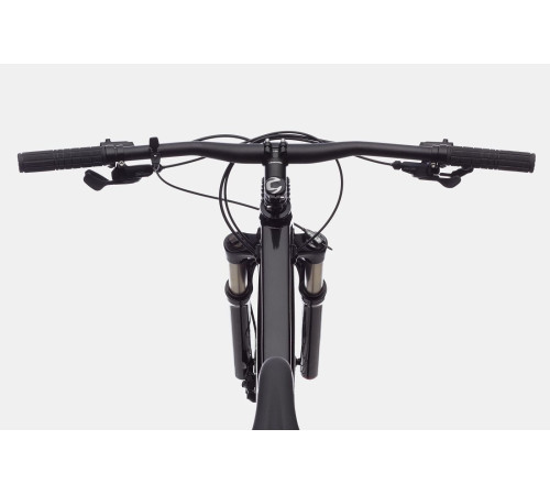 Bicycle Cannondale Trail 29" SL 4 charcoal gray-47 cm / L