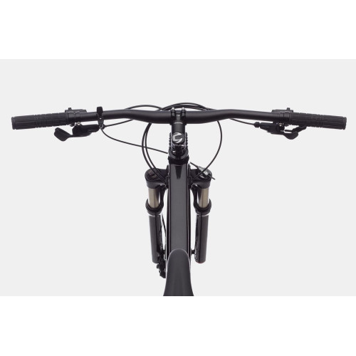 Bicycle Cannondale Trail 29" SL 4 charcoal gray-52 cm / XL