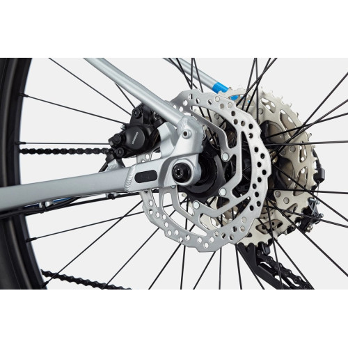 Bicycle Cannondale Trail 29" SL 4 electric blue-52 cm / XL