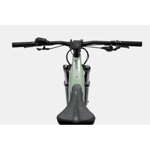 E-bike Cannondale Moterra 29" Neo EQ Bosch agave-46 cm / L