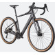 E-bike Cannondale Topstone Neo SL 2 graphite-46 cm / S