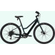 E-bike Cannondale Treadwell Neo 2 Remixte gunmetal green with fine silver-45 cm / L