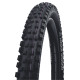 Riepa 29" Schwalbe Magic Mary HS447 Evo Fold TLE 65-622 / 29x2.60 Super Trail