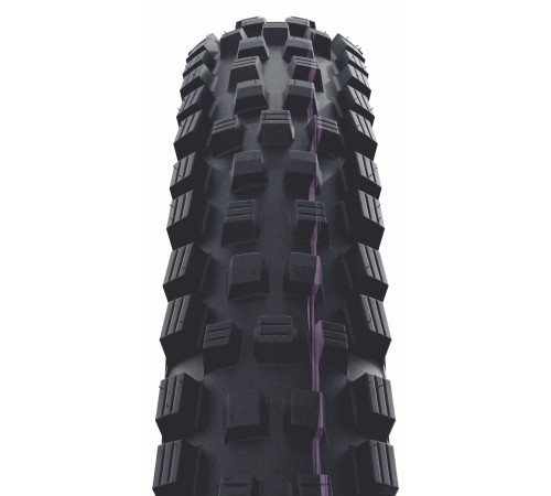 Riepa 29" Schwalbe Magic Mary HS447 Evo Fold TLE 65-622 / 29x2.60 Super Trail