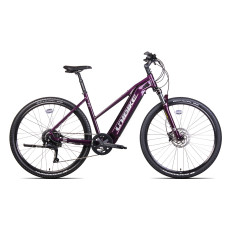Elektro velosipēds Unibike Falcon LDS 2024 burgund-19"