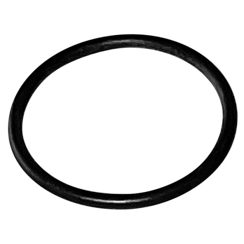 Seal Bosch O-ring for charging socket PowerTube 24x2 (MY2022)
