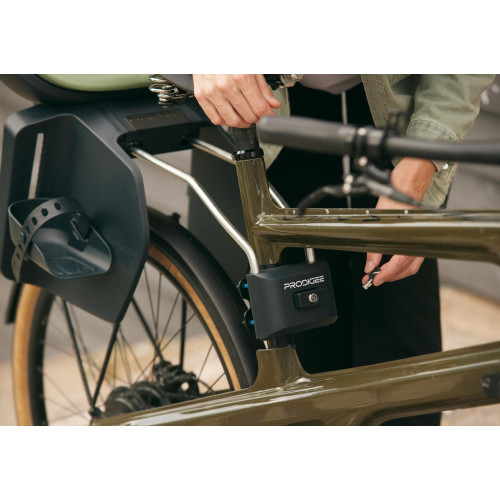 Child seat Prodigee Icon frame jade