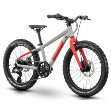 Velosipēds Raymon Yanga 20 Pro 2025 grey-red