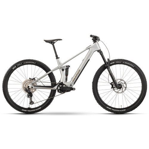 E-bike Raymon Airok 29" 2025 silver stealth-taupe-M