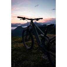 Elektriskais velosipēds Raymon Airok Ultra 29" 2025 carbon stealth-iridescant-L