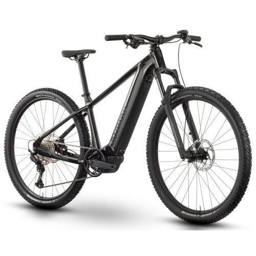 E-bike Raymon Hardray Ultra 800 29" 2025 mica-black-chrome-L