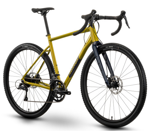 Bicycle Raymon Territ 2025 mustard-steelblue-L