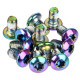 Disc rotor fixing bolts Prox rainbow M5x10mm (12pcs.)
