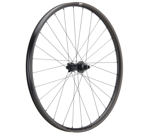 Rear wheel NEWMEN Phase Carbon 30 light 29" 28H SP 6-bolt 12x148 XD