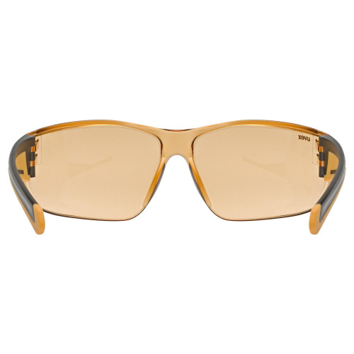 Glasses Uvex equate smoke-orange / orange