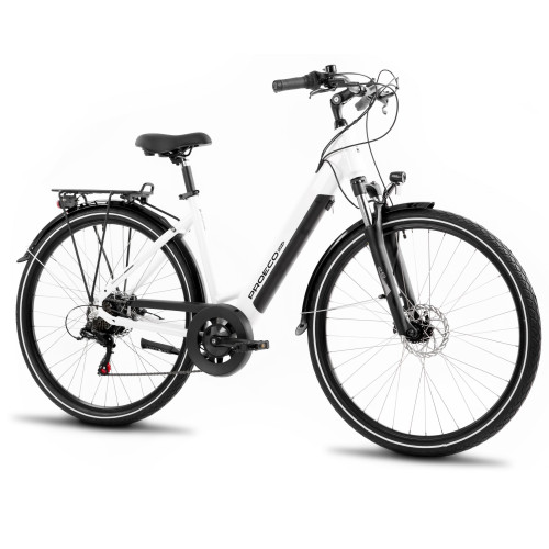 E-bike ProEco Wave AN 1.0 R 504Wh white-black-19" / L