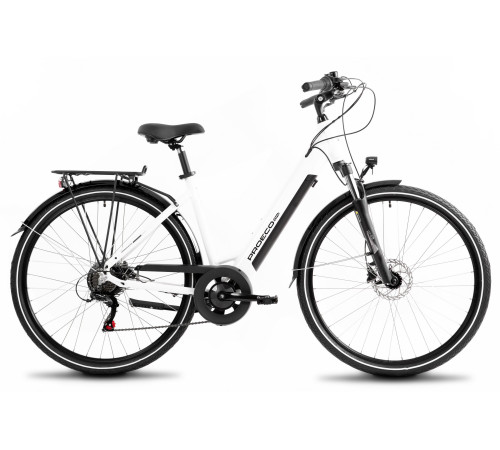 E-bike ProEco Wave AN 1.0 R 504Wh white-black-19" / L