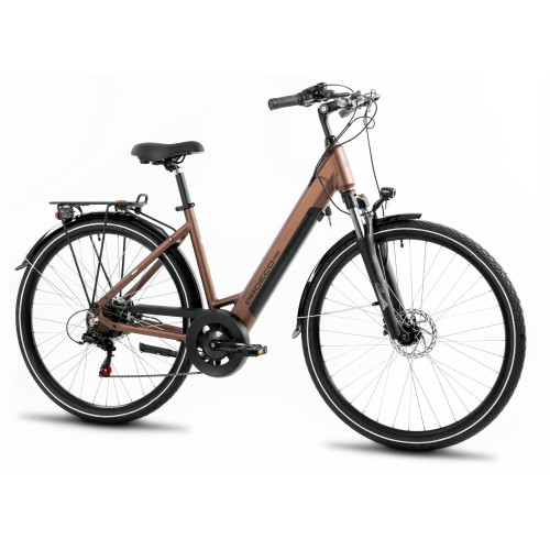 E-bike ProEco Wave AN 1.0 R 504Wh brown-black-17" / M