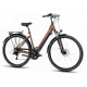 E-bike ProEco Wave AN 1.0 R 504Wh brown-black-17" / M
