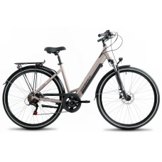 Elektriskais velosipēds ProEco Wave AN 1.0 R 504Wh champagne-black-17" / M