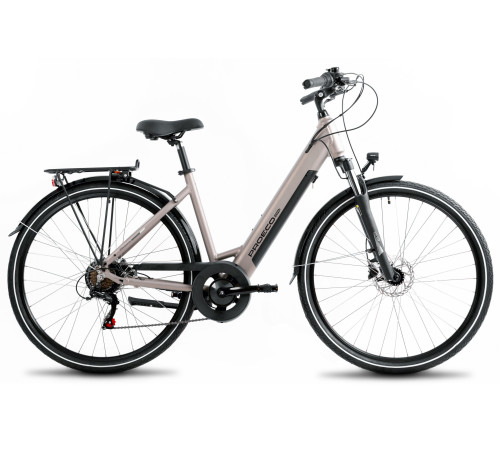 E-bike ProEco Wave AN 1.0 R 504Wh champagne-black-19" / L