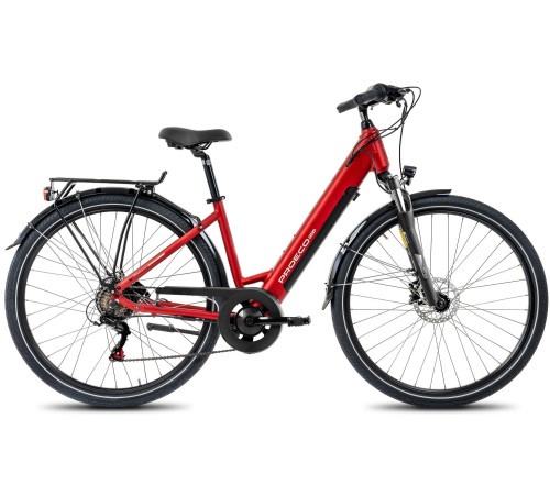 E-bike ProEco Wave AN 1.0 R 504Wh red-silver-19" / L